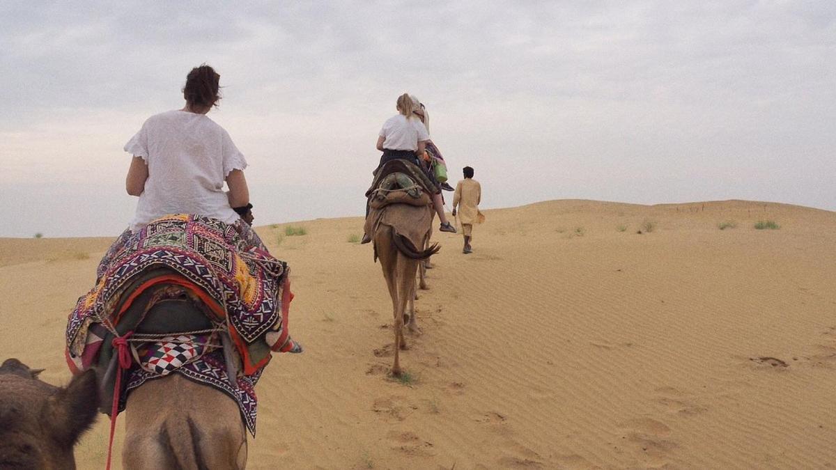 Hotel Sallu Safari Jaisalmer Eksteriør billede